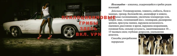 метадон Баксан